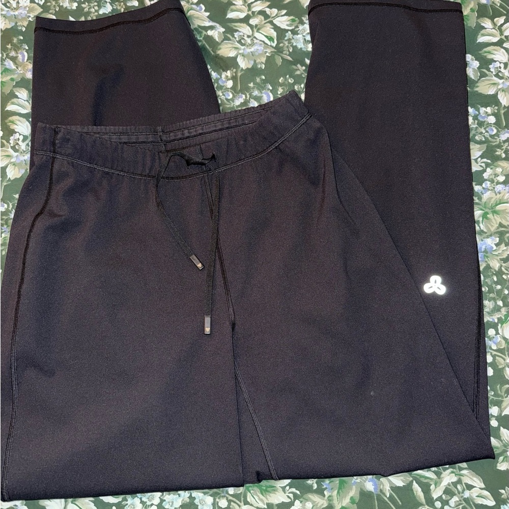 Aritzia Black wide legged  Pants